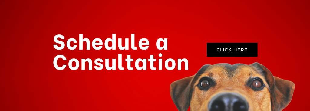 Scheudle a Consultation Banner