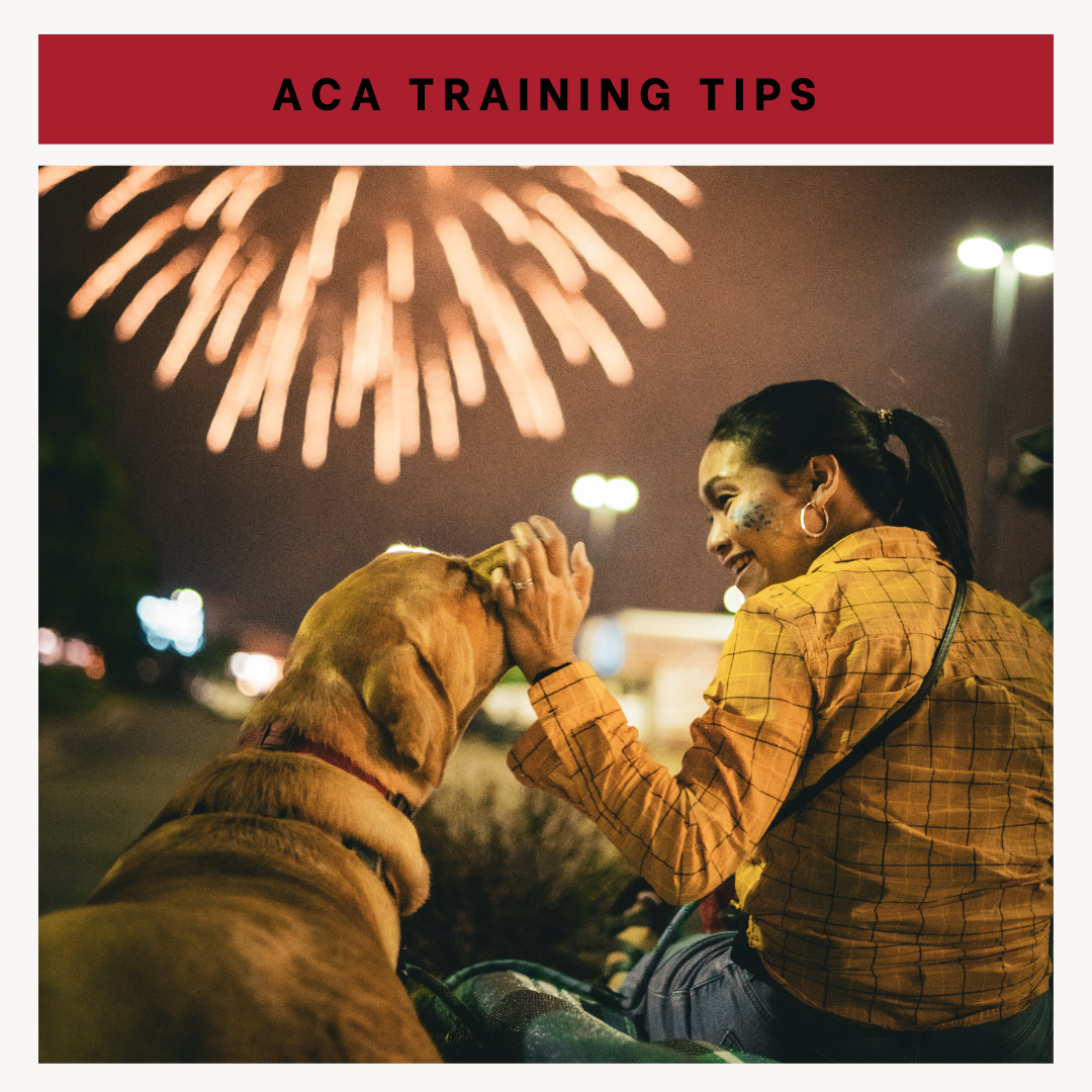 6 Tips to Keep Dogs Calm During Fireworks this 4th of July