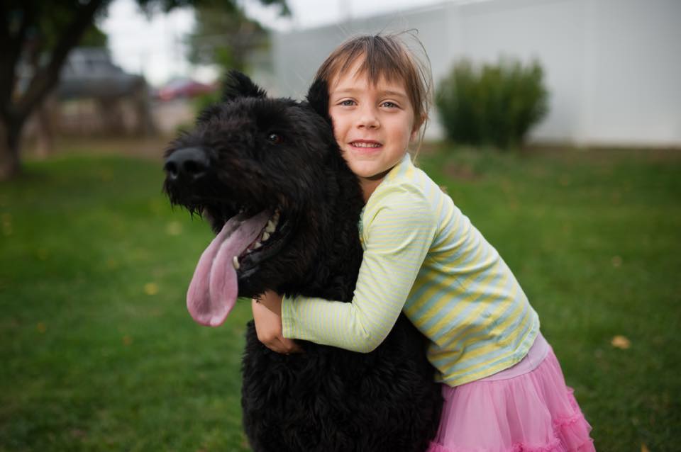 Family Dog Training Denver, CO