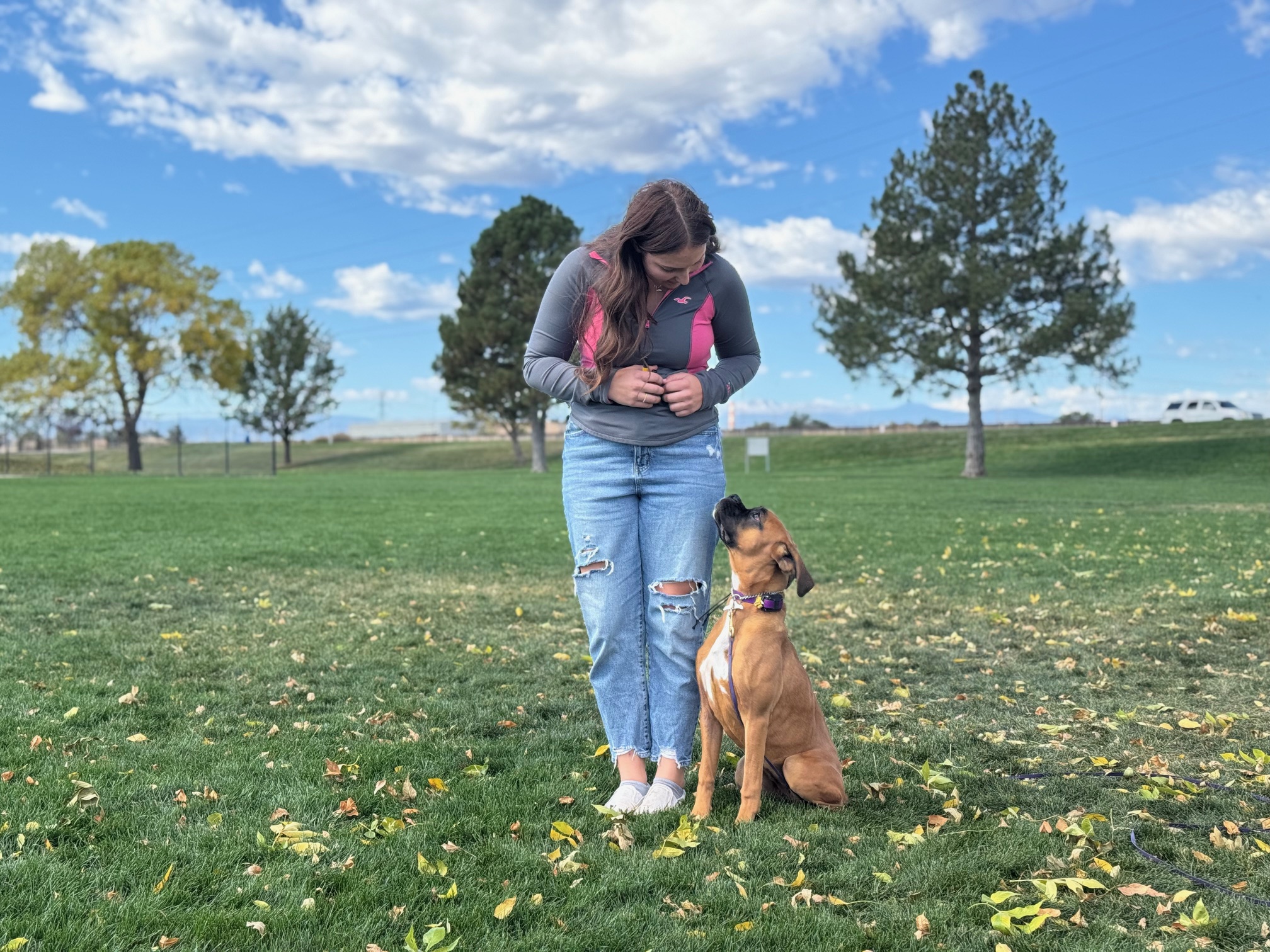 off leash dog trainer in Broomfield, CO with boxer puppy