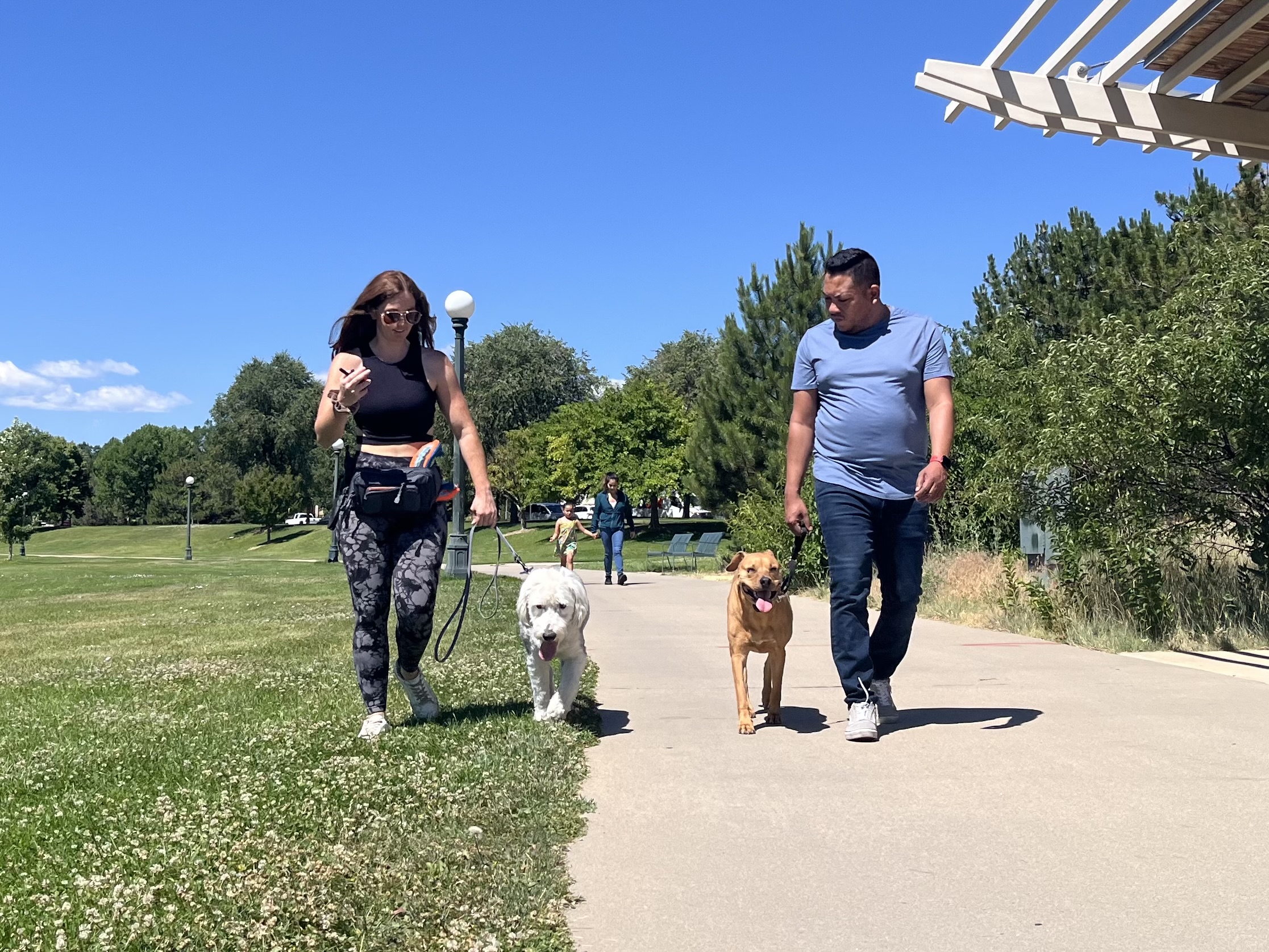 Private Dog Training Lesson in Arvada, CO