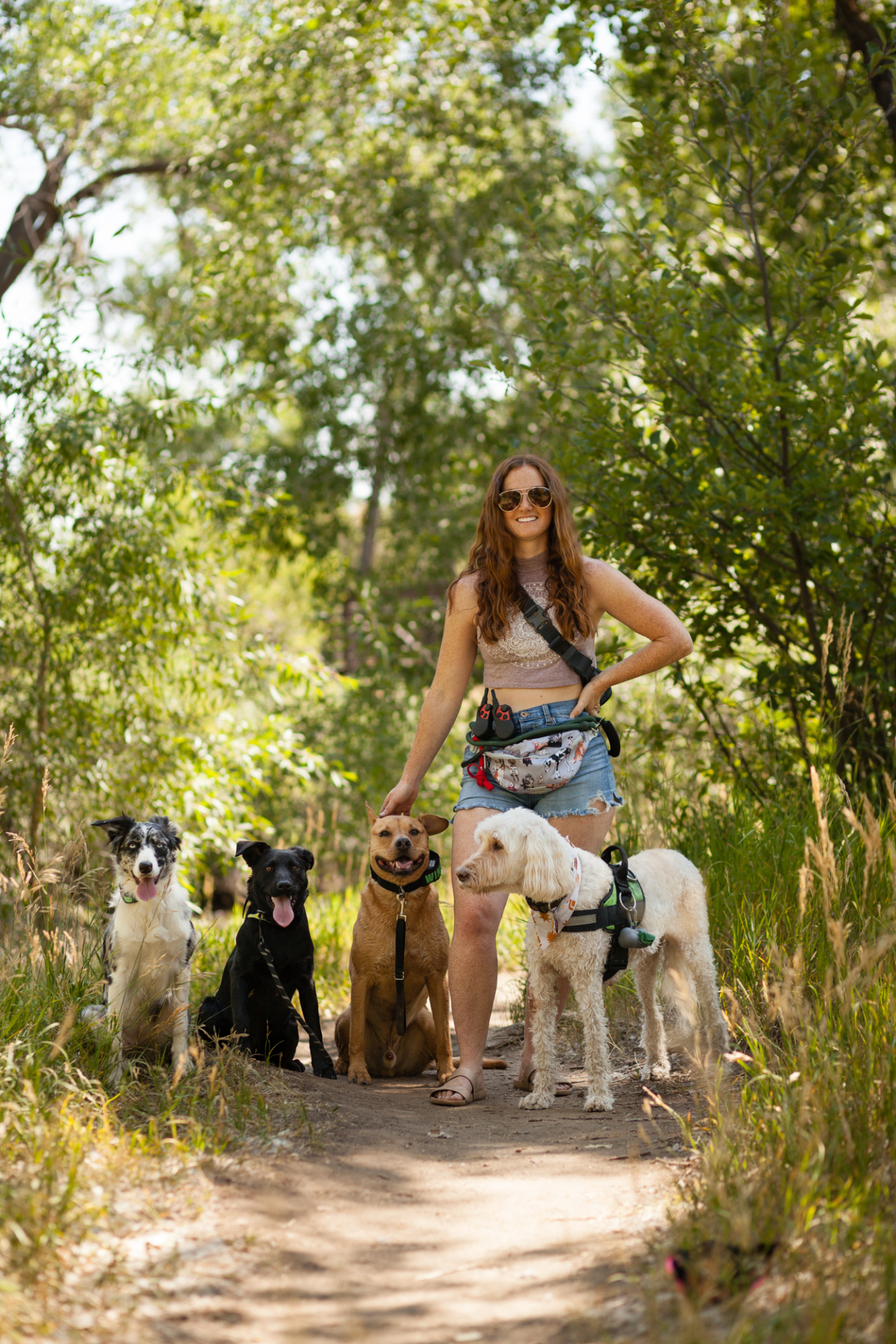 Off-Leash Dog Trainer in Wheat Ridge, CO