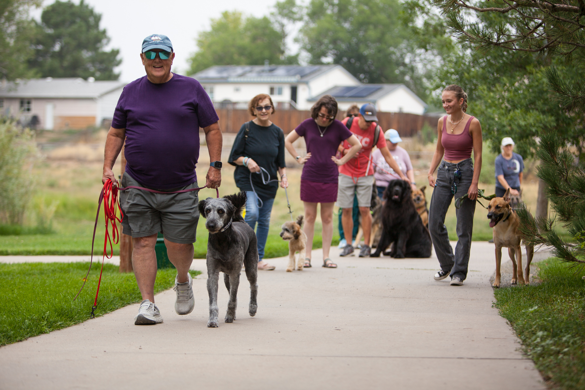 Dog Training Group Class Denver, CO