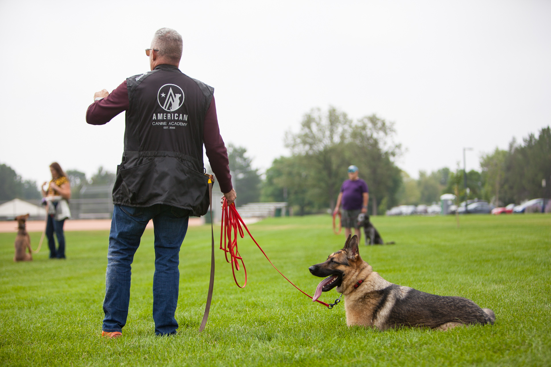 German Shepherd Dog Trainer Denver, CO